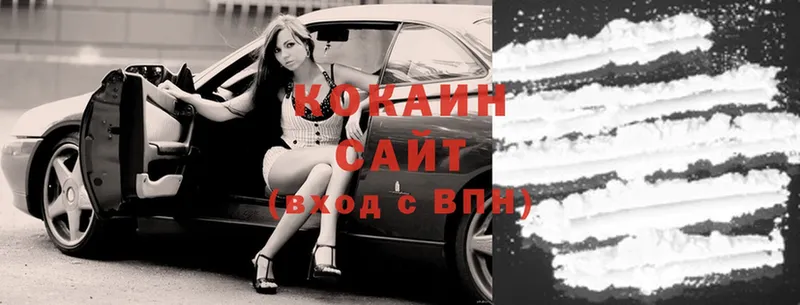 COCAIN FishScale  как найти   Камышлов 