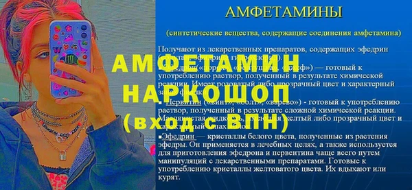сатива Аша