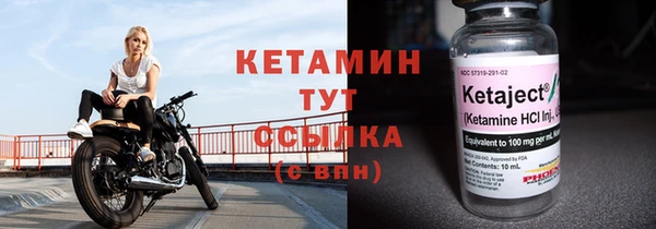 сатива Аша