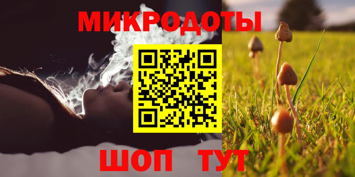 Камышлов  Псилоцибиновые грибы Magic Shrooms  Вход с VPN 